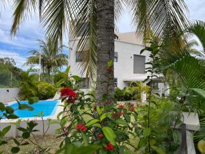 佩雷贝勒Cosy Apartment in Pereybere - Season Break的棕榈树,在一座带游泳池的房子前