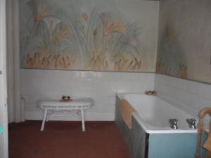 奥斯顿菲尔德斯丹斯霍普馆酒店的带浴缸和盥洗盆的浴室