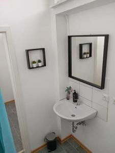 科布伦茨Apartment Koblenz nähe Uni und BWZK的浴室设有白色水槽和镜子