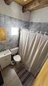 波特雷里约斯Denmoza Eco Lodge的浴室设有卫生间、水槽和淋浴帘