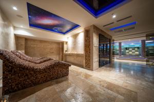 波德戈里察亚历山大卢克斯酒店的带沙发的客厅和天花板上的电视