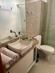 大坎皮纳Ap standard confort bem localizado的一间带水槽和卫生间的浴室