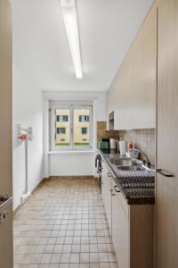 苏黎世Cozy 2 Bedroom Apartment in Zurich的白色的厨房设有水槽和窗户