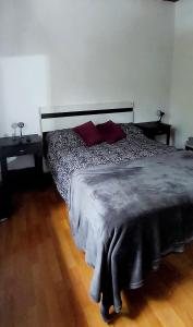 Las HerasDEPARTAMENTO COMPLETO 4 Pers Mza的一间卧室配有一张大床和两个红色枕头
