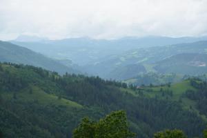 肯佩尼Cabana adi si mia cu pastravarie的享有树木和山脉的山谷美景