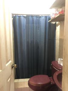 博卡斯德尔托罗The Green House的浴室设有卫生间和蓝色的浴帘。