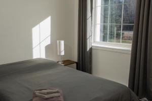 Kirkland LakeProspectors Inn的一间卧室设有一张床和一个窗口