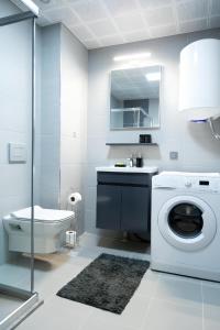 斯科普里Horizon Grey Apartment & Spa的一间带洗衣机和水槽的浴室