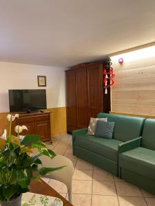 阿兰尼亚·瓦尔塞西娅巴伊塔雷亚莱公寓式酒店的客厅配有绿色沙发和电视