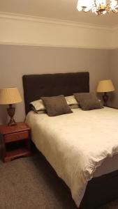 NewmacherDisblair House的一间卧室配有一张大床和两盏灯