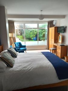伊斯特布恩Breakers Bed and Breakfast的一间卧室配有一张带蓝色椅子的床和窗户