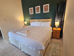 圣伊格纳西奥Cozy Flat in San Ignacio Close to Downtown!的一间卧室配有一张大床和两盏灯。