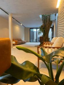 朱奎Pousada Yamandu的带沙发和植物的客厅