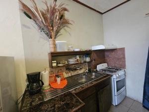 圣伊格纳西奥Cozy Flat in San Ignacio Close to Downtown!的一间带水槽和炉灶的小厨房