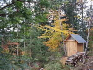 巴特彼得斯塔尔-格里斯巴赫TrekkingCamp Himmelsterrassen的森林中间的小木棚