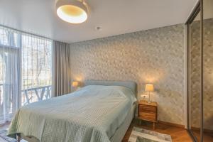 德鲁斯基宁凯SOLEMI的一间卧室设有一张床和一个大窗户