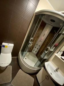 Velyka Omelyana库图尔酒店的一间带水槽、卫生间和镜子的浴室