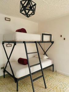 圣米格尔-德阿连德Lool Beh Hostal的一间客房内配有两张双层床的房间