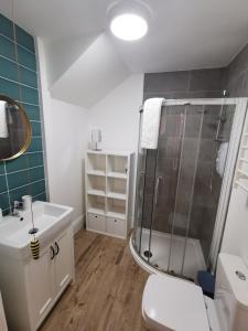 阿伯里斯特威斯Lovely Seafront 2 bed flat in Aberystwyth的带淋浴、卫生间和盥洗盆的浴室