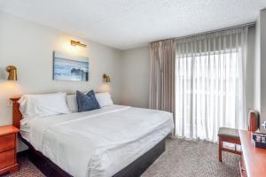 柏斯海滩Cape Suites Room 7 - Free Parking! Hotel Room的一间设有大床和窗户的酒店客房