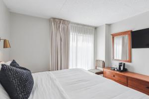 柏斯海滩Cape Suites Room 7 - Free Parking! Hotel Room的酒店客房设有床和窗户。