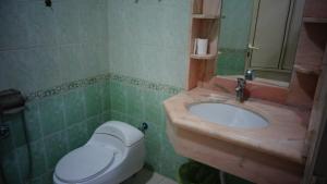 拉夫哈فندق سفير العرب的一间带水槽和卫生间的浴室