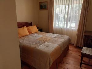 圣地亚哥Paine - Hermosa Parcela de Agrado的一间卧室设有一张床和一个大窗户