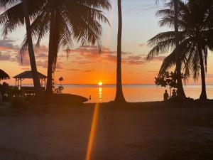 RotoavaKoriKori House Fakarava的棕榈树海滩上的日落