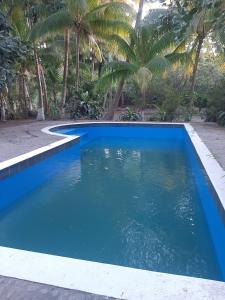 拉利伯塔德RANCHO SARIMAR的一座种植了棕榈树的蓝色游泳池