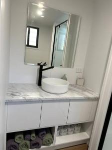塔姆博尼Tiny Home + Donkeys + Alpacas的白色的浴室设有水槽和镜子