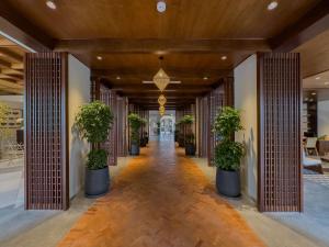 会安Little Oasis - An Eco Friendly Hotel & Spa的楼内带有盆栽的走廊