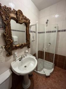 韦莱涅拉兹果塞科酒店的浴室配有盥洗盆和带镜子的淋浴