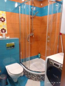 新鲁达Apartament Centrum Nowa Ruda的带淋浴、卫生间和浴缸的浴室