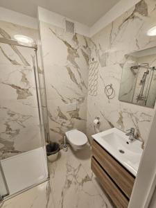 赫林贝亨Casa Luca的一间带水槽、淋浴和卫生间的浴室