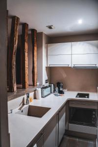 里摩日VILLA FLEURY - APPART'HÔTEL DE STANDING的厨房配有水槽和台面