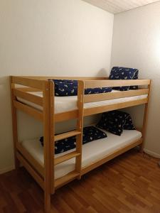 因特拉肯Apartment Jolie的双层床间 - 带两张双层床