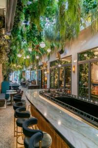 雅典Gatsby Athens的天花板上放着一束植物的酒吧