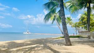 富国May Hotel Sonasea Phu Quoc的棕榈树海滩和水中小船