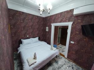 撒马尔罕Fayz Guest House的一间卧室配有一张床和一个吊灯