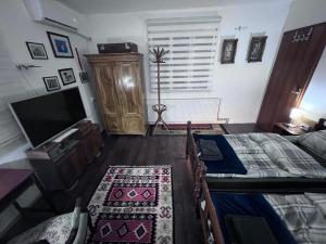 皮罗特Prenoćište Jocic的一间卧室配有两张床和一台平面电视