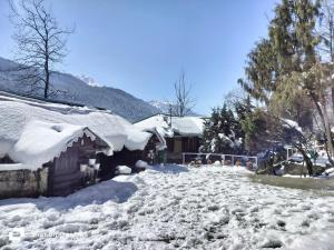 拉冲Apple Valley Cottages Lachung的雪覆盖的房子