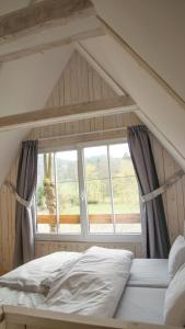 耶什赫维采The Elbe Sandstone Cottage的一张位于带大窗户的房间内的床铺
