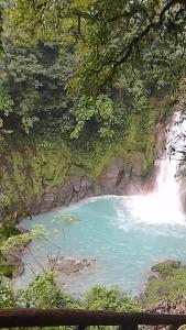 比加瓜Habitacion en Bijagua的瀑布旁的水池