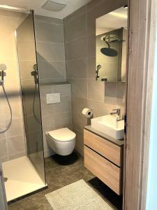 菲根贝格Appartement Hirner的带淋浴、卫生间和盥洗盆的浴室