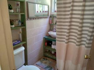 PitrufquénDonde La Euli.的浴室设有卫生间和带浴帘的盥洗盆。
