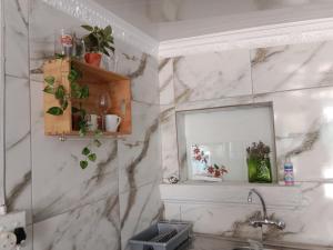 开普敦Cozy Private En Suite Studio的浴室墙上挂有镜子和植物