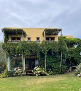 何塞伊格纳西奥海尔劳住宿加早餐旅馆的一座植物在建筑的一侧