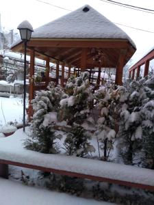 伯伊莱图什纳德Natura Tusnad的凉亭,上面有雪,有些灌木丛