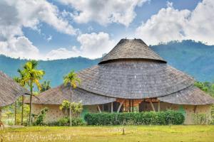 坤西育府Eco Eyes Village的一座拥有茅草屋顶和棕榈树的建筑