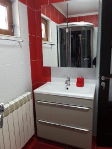 布什泰尼Casa Nicolas Busteni的一间带水槽和镜子的浴室